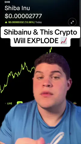 #greenscreen shibainu is exploding and this new cryptocurrency will perform even better #fyp #shibainu #money #cryptocurrency #bitcoin #dogecoin 