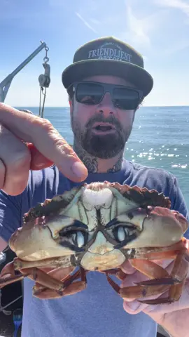 Crab bubbles explained, Fish And Wildlife tag on crab trap.  #crab #ocean #friendliestcatch #fyp #natgeo #seafood @DavidB 
