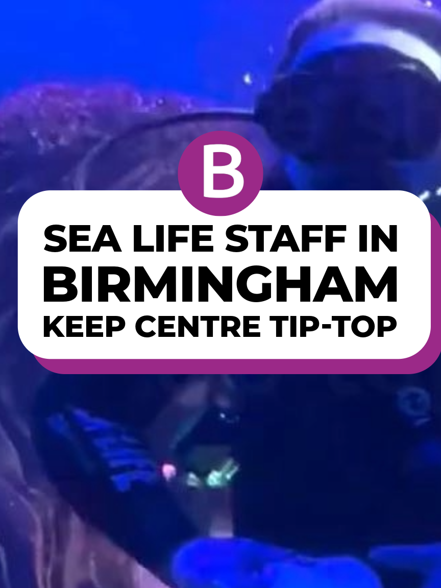 Sea Life staff in Birmingham keep centre tip-top #Sealife  #sealifecentre  #birmingham  #brum  #fypシ  #foryoupage