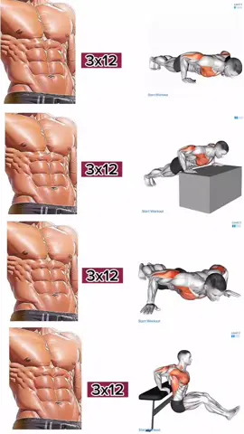 Pushup Workouts Build Chest, Muscle At Home Exercises #Workout #Chest #Muscle #Chestworkout #homeworkout 