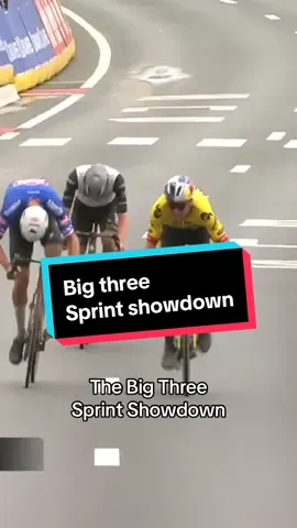A sprint finish like no other 🔥 #pogacar #vanderpoel #woutvanaert #roadcycling 