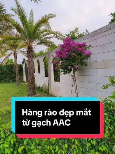 #EBLOCK #AAC #gachbetongkhichungap #vatlieuxaydung #vatlieuxaynha #congtrinh #xaydung #foryou 