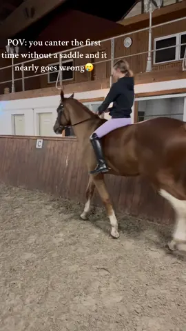 Follow me on IG&Youtube:melinaeloni #foryou #foryoupage #fyp #xyzbca #girl #time #equestrian #equestrianlife #equestriangirl #equestriangirls #riding #ridingzone #ridinghorse #withoutsaddle #funny #funnyvideos #funnymoments #fail #fails #failvideo 