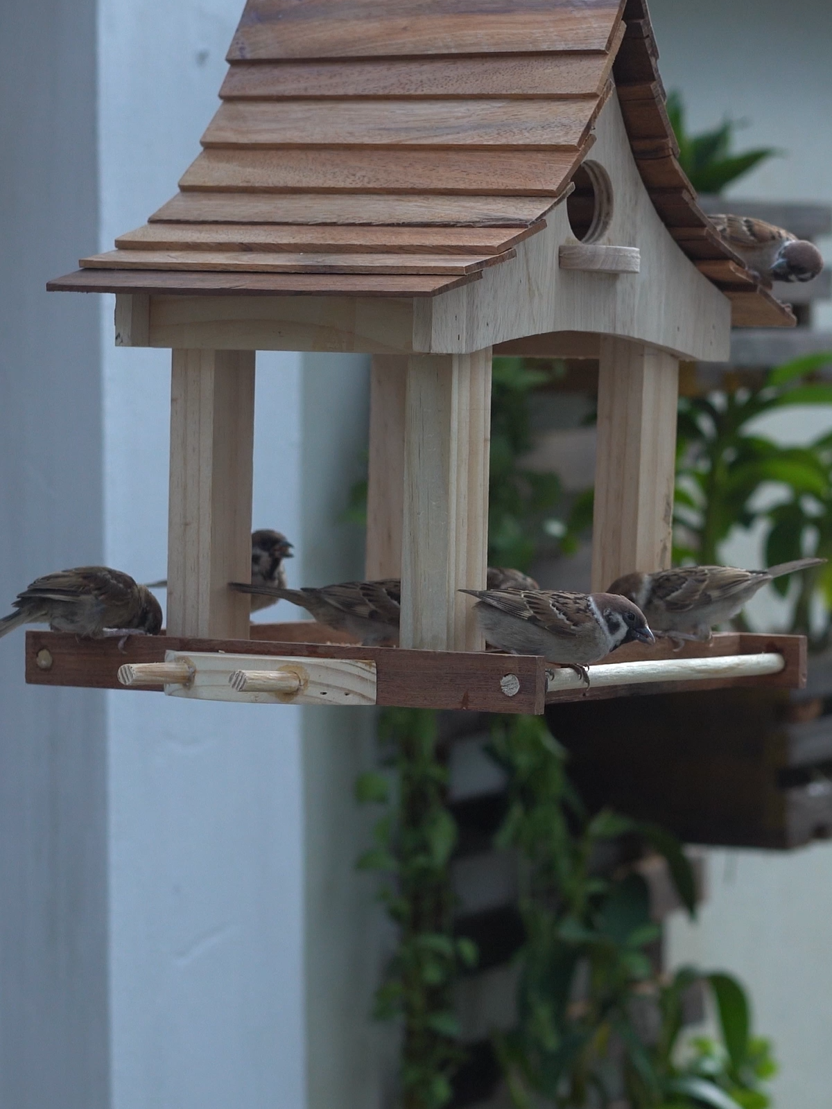 Design Wooden bird House #bird #house #animals #wooden #woodworking #fyp