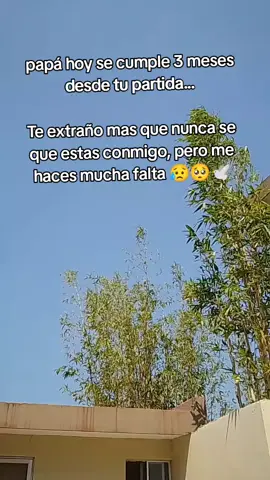 Hoy es tu tercer mes luctuoso 🙏 te seguimos extrañando y a su vez recordando tantos momentos que nos hiciste pasar siendo felices... Aún estamos asimilando que ya no estas con nosotr@s papá 🥺🕊️😭💔