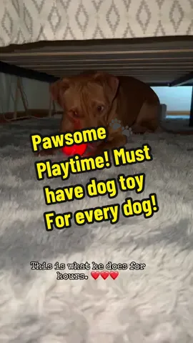 The best toy ever for a very active dog!  #DogToy #PlayfulPup #PetPlay #ToyForDogs #DoggoFun #FetchToy #PawsAndPlay #ChewTime #HappyDog #CanineCompanion #DogPlay #ToyTime #PuppyLove #FetchFun #HappyPup #PlayfulPets #TailWagging #ChewChewChew #CanineToys #DoggyPlaytime