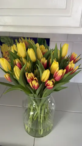 beautiful things don’t ask for attention💐💛✨ #fyp #fypシ #foryou #foryourpage #parati #tulip #tulips #tulipan #tulipanes #tulipanes🌷 #yellowtulips #tulipbouquet #ramodetulipanes #tulipfield #tulipfields #tulipfestival #tuliplover #favoriteflower #flowers #floresamarillas #21demarzo #flores #tulipseason #tulip #primavera #Love #viral 