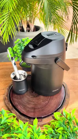Para você que gosta de se diferenciar dos iguais na hora de tomar aquele terere, esse é o kit perfeito para você 😎 Kit com uma garrafa térmica inox da marca Chacal de 2,5 litros, cuia térmica da chacal, bomba inox super fluxo e escovinha de brinde🤠 Kit para terere completo: de R$407,80 por apenas R$375,80🔥 Vai de brinde a escovinha para a higienização da bomba✅ Vem para a melhor 🔥   📲 Clique no link da Bio e fale conosco pelo nosso WhatsApp  📦🚚 Enviamos para todo Mato Grosso e todo o Brasil com envios rápidos ✅  #pecuaria #agro #rodeio #tereré #sertanejo #cowboy #cowgirl #roupas #country #chimarrão