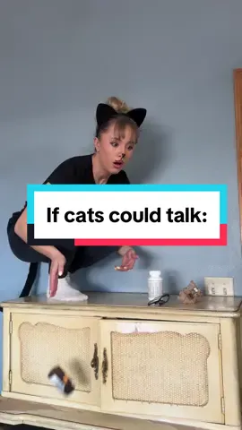 If cats could talk: