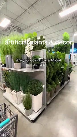 artificial plants and home decor at the athome store #artificalplants #homedecor #frontporchideas #porchdecor #creatorsearchinsights 