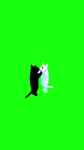 Gatos Bailando | Pantalla Verde #Cats #gatos #meme #Viral #Fyp #parati #bailando #catmemes #gatosgraciosos 
