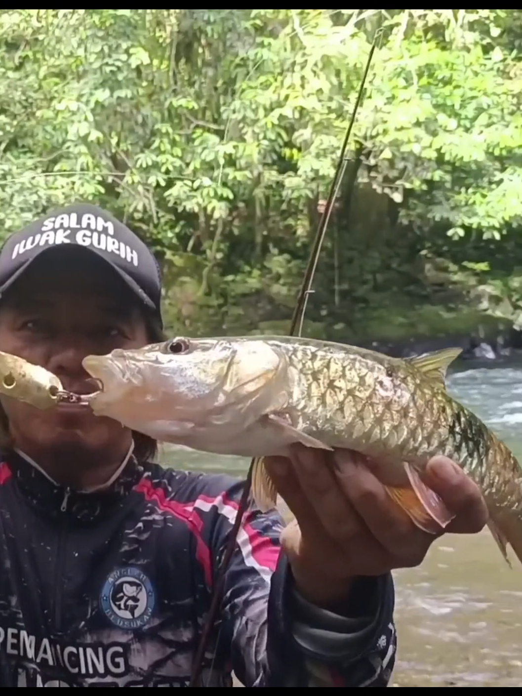 Mantap Strike Hampala (Yt. Pemancing Blusukan) #hampala  #mancinghampala  #castinghampala  #mancingikanhampala  #ikanhampala  #spotmancinghampala  #caramancinghampala  #castingikanhampala