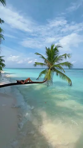 You found the perfect palm tree 🏝️✨  📍Dhigurah Maldives #maldives #maldivesislands #maldivesvacation #maldivesresorts #maldivesbeach #maldiveslovers #travel #luxurytravel #islandlifestyle 