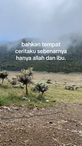 #fyp #fypシ #masukberandafyp 