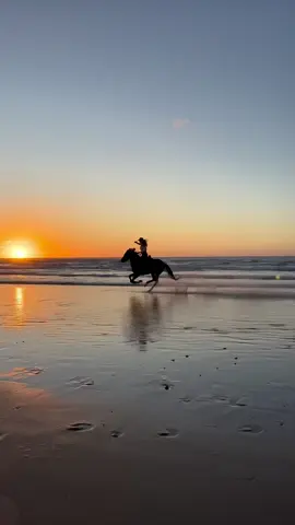 🌅 Magic sunset, feeling the speed of this amazing stallion🐴❤️ ✨Unforgettable moments 🔥  #sunset #beach #horse #gallop #horsegirl #cowgirl #riding #nature #speed #freedom #happiness #Love #fyp #equestrianlife
