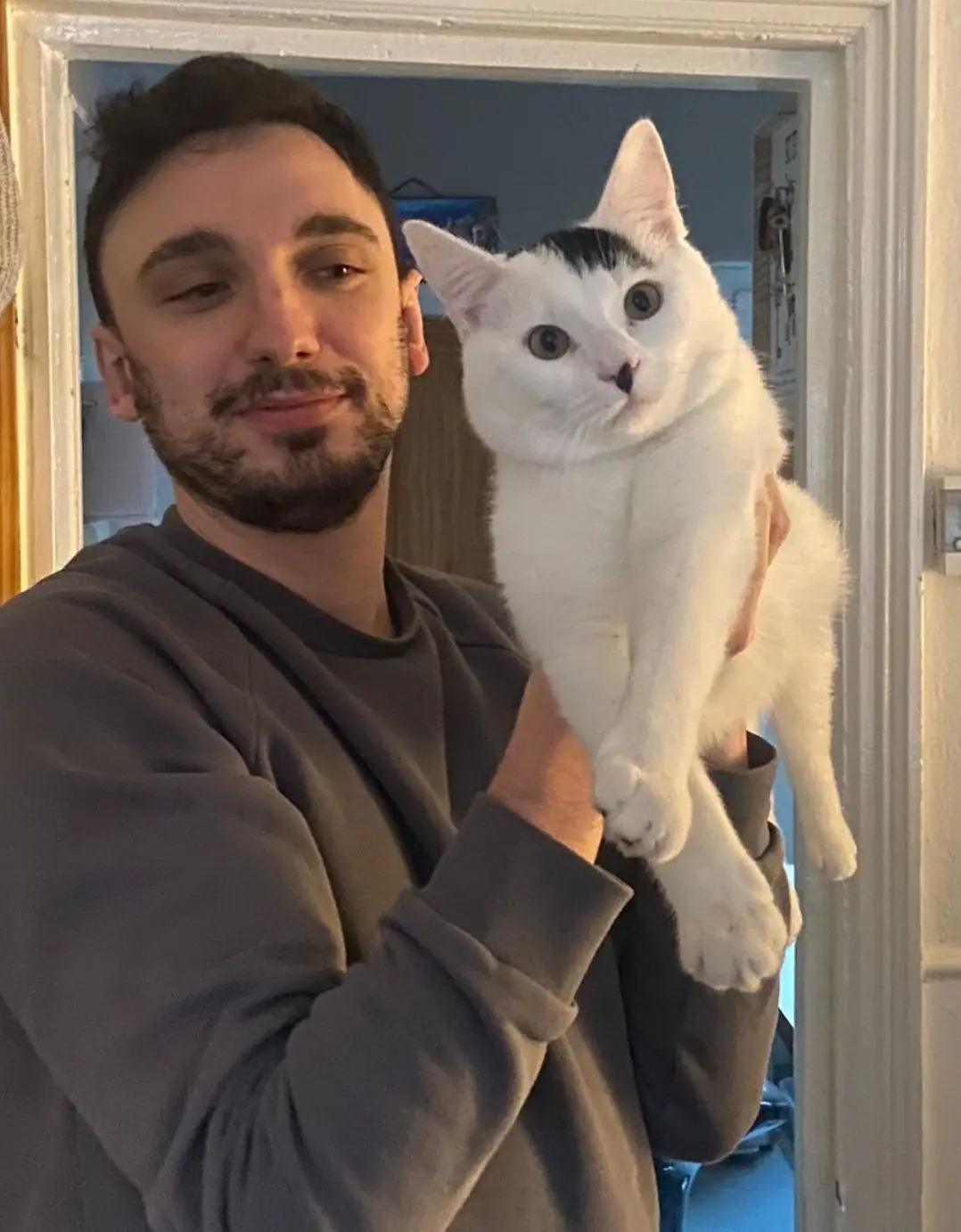 Not realised how big Pablo had gotten until these two photos! 😻 #catsoftiktok #cute #fyp #trending #viral 