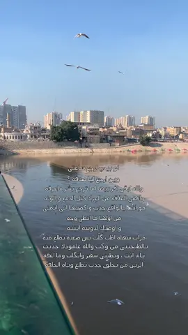 لو بيدي ارجع ساعتي … #شعر_شعبي #رائد_ابو_فتيان #شعر #لوبيدي_ارجع_ساعتي 