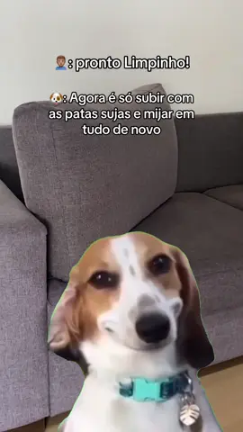 🤡🤡🤡 #limpeza #sofá #clean #CleanTok #cleaning #Meme #MemeCut #fy #foryou #foryoupage 