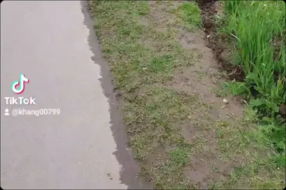 #CapCut 