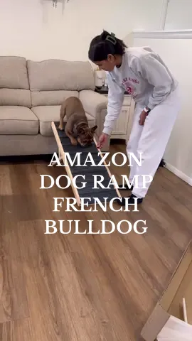 Lets put this amazon doggy ranch to good use! #dogramp #frenchbulldog #frenchie #frenchiesoftiktok #frenchiemom #frenchies #dogmom #amazonramp #amazonfinds #amazonmusthaves 