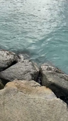 A timeless fail: tourist on the rocks 😅🌊 #hawaii #pacific #ocean #pacificocean #vacation #tourist #fail #fails