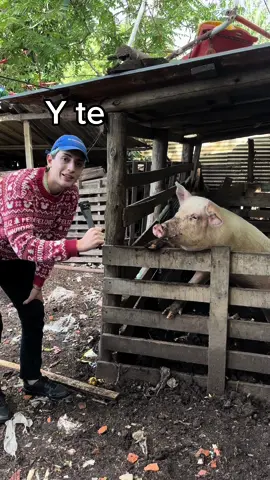 Si no decis nada te cambio tu vida! 🥹
