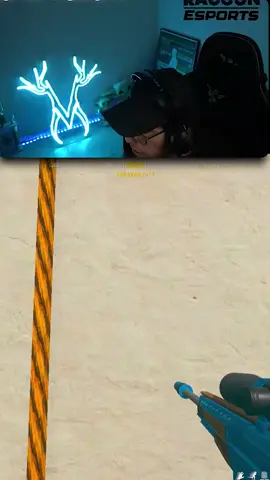 Mapache albino #warzone #callofduty #gamerentiktok #warzonelatino #streamerlatino 