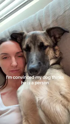 I love him so much #belgianmalinois #belgianmalinoisoftiktok #fypシ 