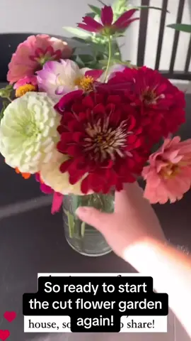 Dreamimg about starting our flower garden again soon 🤩 #flowergarden #cutflowers #gardening 
