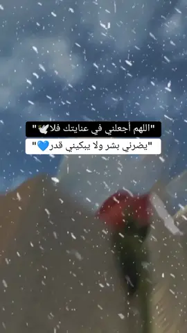#🕊️🕊️🕊️🕊️🕊️🕊️🕊️🥀🥀🥀🥀🍂🍂 #🤍🤍🤍🤍🤍🤍🤍🤍 