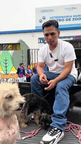 #francovidalalcalde #ceresvitarte #derrotamosalaviejapolítica #atevitarte #francovidal #santaclaraate #carreteracentral #huaycancity😎 #salamancaate #animales #perros 