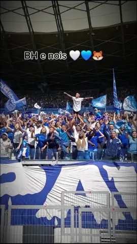 Nāo Compare Torcida em Minas Gerais 💙🦊 #CruzeiroEsporteClube #Cruzeiro #MafiaAzul #CruzeiraoCabuloso #Cabuloso💙🦊 #Cruzeiro💙 #CruzeiroMaiorDeMinas #SouCruzeiroTradição #CruzeiroSempre #Cruzeirense #CruzeiroFenomenal 