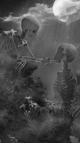 A L P O H - A7X Template #avengedsevenfold  #alittlepieceofheaven  #yanshadow  #CapCut 
