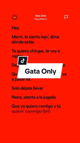 Gata only 🎶 - FloyyMenor #fyp #spotify #lyrics #fullsong 