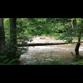 Sitting by the river is one of the peaceful settings in the world. So grateful we live near the river. #Beauty #Nature #Naturalbeauty #relateablecontent #flowingwater #westvirginia #Appalachia #Mountains #Rivers #digitalmarketing #needfollowers        Check out my ETSY STORE https://alwaysconstance.etsy.com 