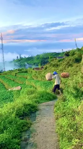 họ bảo Đà Lạt là nơi khỉ ho cò gáy ai mà thèm làm dâu ở Đà Lạt..!!😥💔họ chỉ thích làm dâu ở nhà cao tầng với biệt thự thôi ở đây là hóc bò tó họ bảo ko sạch sẽ cho nên là họ ko ở..!!😥💔