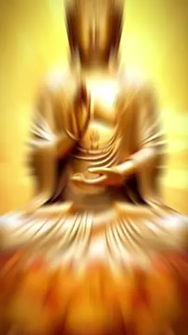 BAO KHỔ ĐAU TRẦN THẾ... #thananlac #anlactaitam #nammoadidaphat 