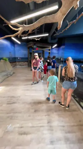 Messing with Carly st the aquarium #dadjokes #funwithkids #texasstateaquarium 