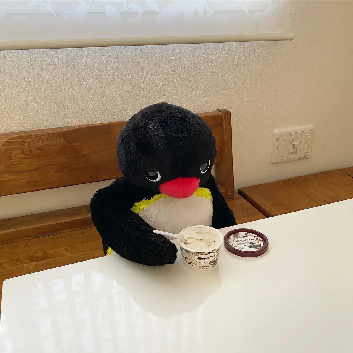 一口ちょうだい！🐧😃 Can I have a bite?🐧😃 ・ #ピングー #pingu #ぬい撮り #ペンギン #penguin #🐧 #ハーゲンダッツ #haagendazs #stuffedanimals #plushies #nootnoot #japan