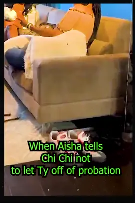 When Aisha tells Chi Chi not to let Ty off of probation! _1 #kountry #kountrywayne #kountrywayneskits #kountrywaynecomedy #kountry_wayne_fans #kountrywaynefan3 #kountrywaynelive #foryou #kountrywaynebuddy #kountrywaynewomen #viral #kountrywaynefan #xyzabc #us #kountrywaynedrip