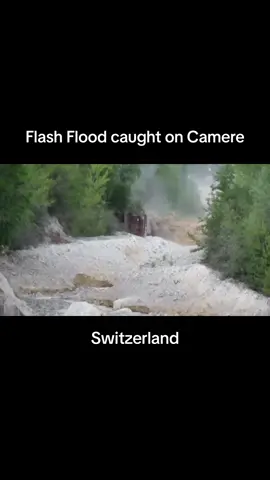 Insane flashflood caught on film on the Illgraben in Switzerland. This footage tells us so much about the mechanism and the raw power of the wave that surges when a flashflood occurs. Be careful out there people. #flood #saveourplanet #nature #naturephotography  #fyp #fypシ #viral 