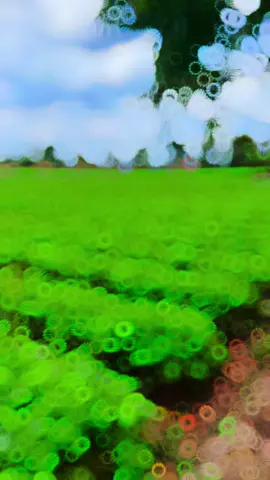 Kebun wortel  #wortel #kebun #foryou #fypシ #foryoupage 