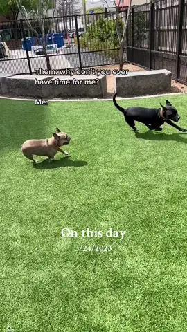 #onthisday 