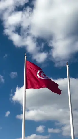 #tunisia #flag #beauty ❤️