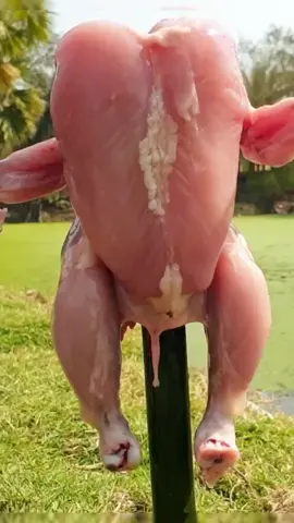 #fishing #fishingvideos #amazingfishing #fishlovers #fishtok #fish #foryou #foryoupage #longervideos #usa #tiktokusa 