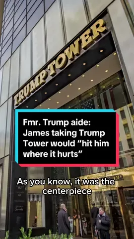 Former senior Donald Trump White House official and “The Apprentice” star, Omarosa Manigault Newman, talks to Alex Witt about Trump's civil fraud judgment due Monday and the possibility of New York Attorney General Letitia James beginning to seize the former president's assets. #politicaltiktok #politicstiktok #politics #newstiktok #news #trump