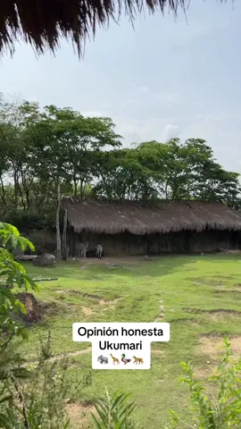 Lo mejor de Ukumari y lo que realmente vale la pena: la parte africana 🐘🦒 . Esta es nuestra opinion comparandolo con un zoologico como el de Cali por ej #longervideos #ukumari #ukumaripereira #traveltiktok #colombia 
