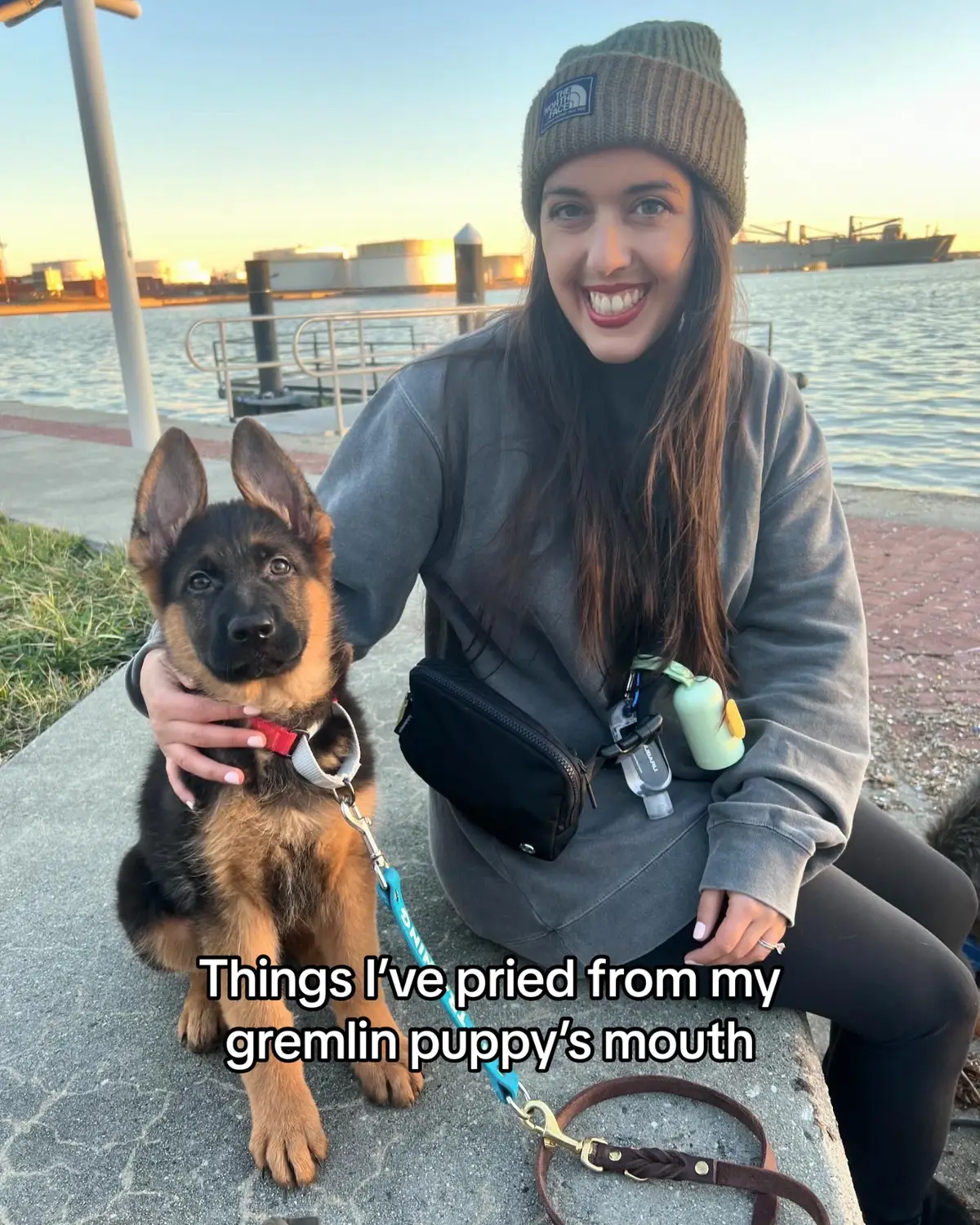 I love him but when I first brought him home his impulse control was on zero 💀 #gsd #gsdoftiktok #puppy #puppytok #gsdpuppy #puppytiktok #dogmoms #dogmom #gsdpuppies #germanshepherd #germanshepherdsoftiktok 