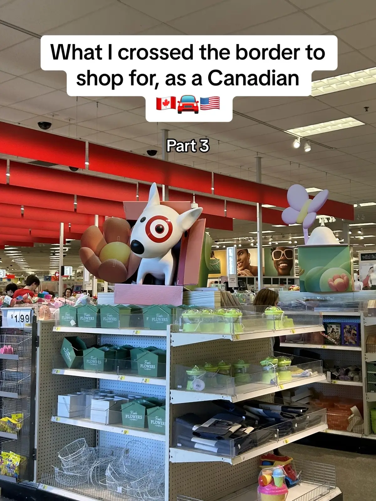 I love living so close to the border 🛍️ #target #targethaul #targetfinds #canadian #buffalony #shoppinginbuffalo 