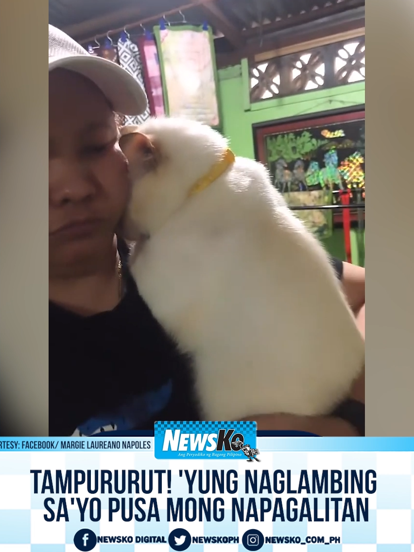 #ViralPH: 'Yung tumodo ng lambing at sumbong sa'yo ang pusa mong aping-api. 🥹😭 